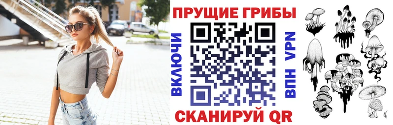 Галлюциногенные грибы Magic Shrooms МЕГА зеркало Вичуга