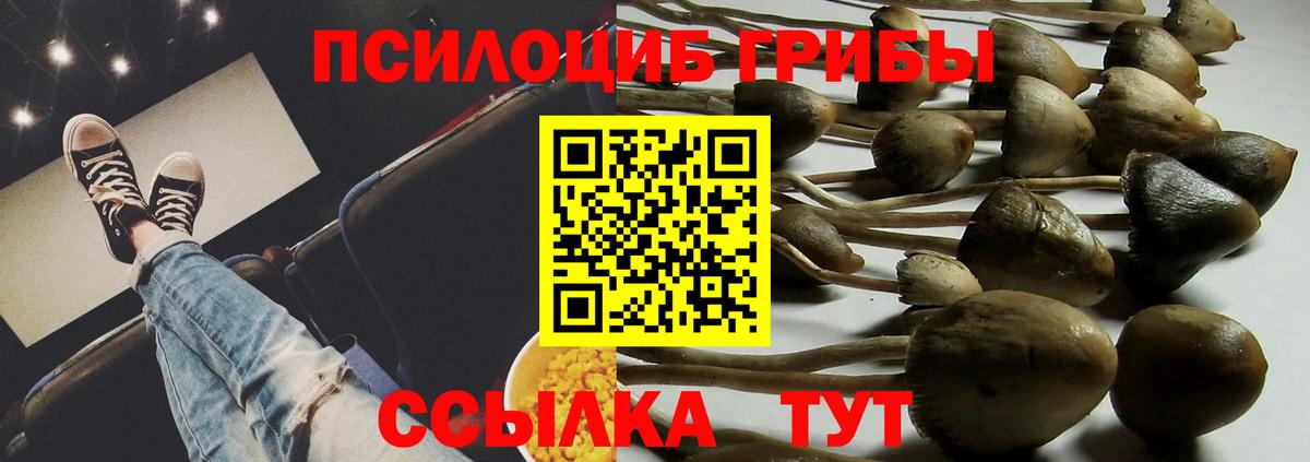 Псилоцибиновые грибы прущие грибы  Вход с VPN  Вичуга 
